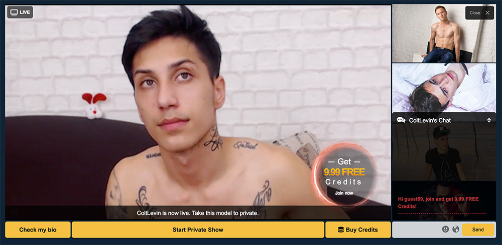 Streammate gay model